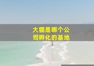 大疆是哪个公司孵化的基地