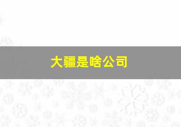 大疆是啥公司