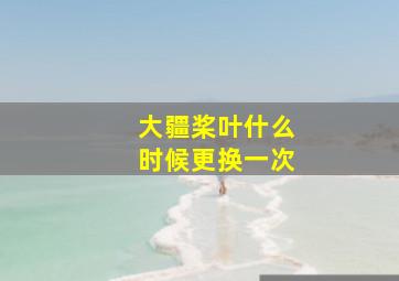 大疆桨叶什么时候更换一次