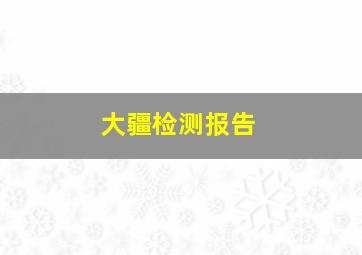 大疆检测报告