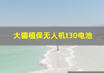 大疆植保无人机t30电池