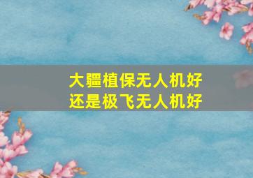 大疆植保无人机好还是极飞无人机好