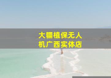 大疆植保无人机广西实体店