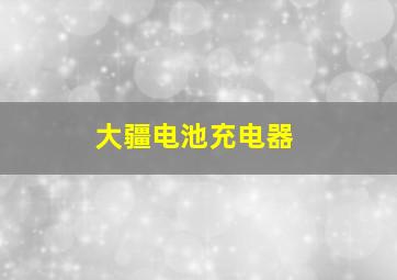 大疆电池充电器