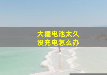 大疆电池太久没充电怎么办