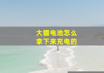 大疆电池怎么拿下来充电的