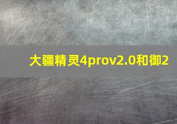 大疆精灵4prov2.0和御2