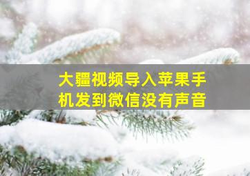 大疆视频导入苹果手机发到微信没有声音