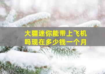 大疆迷你能带上飞机吗现在多少钱一个月