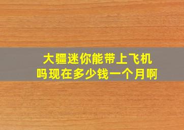 大疆迷你能带上飞机吗现在多少钱一个月啊