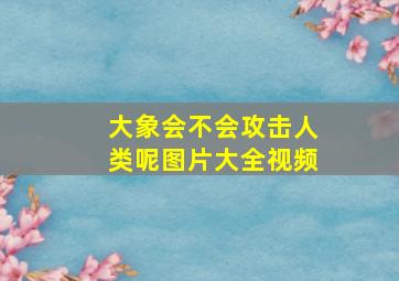 大象会不会攻击人类呢图片大全视频