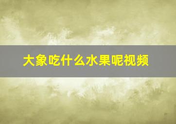 大象吃什么水果呢视频