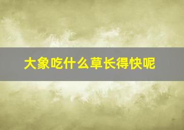 大象吃什么草长得快呢