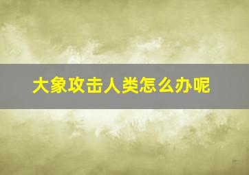 大象攻击人类怎么办呢