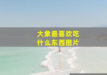 大象最喜欢吃什么东西图片