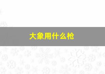 大象用什么枪