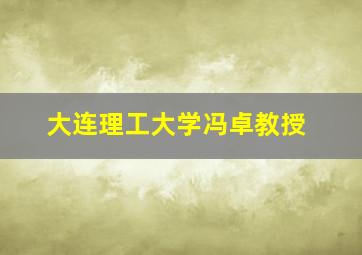 大连理工大学冯卓教授