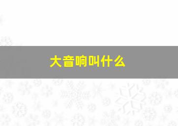 大音响叫什么