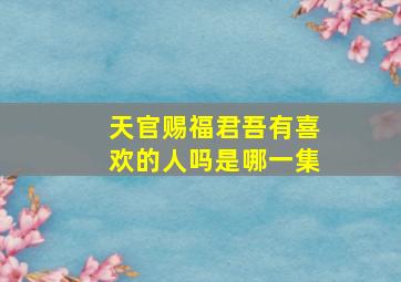 天官赐福君吾有喜欢的人吗是哪一集