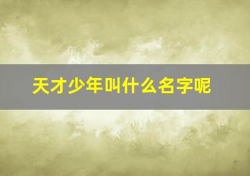 天才少年叫什么名字呢