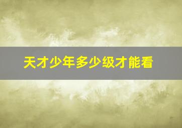 天才少年多少级才能看