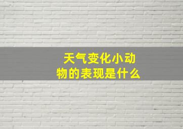 天气变化小动物的表现是什么