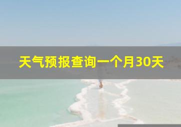 天气预报查询一个月30天