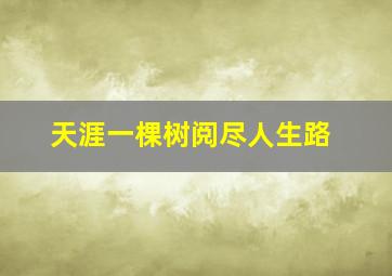 天涯一棵树阅尽人生路