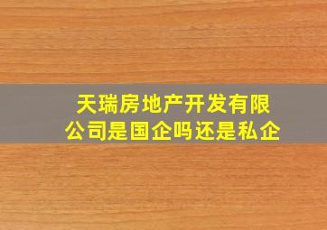 天瑞房地产开发有限公司是国企吗还是私企