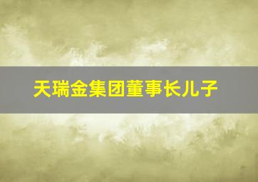 天瑞金集团董事长儿子