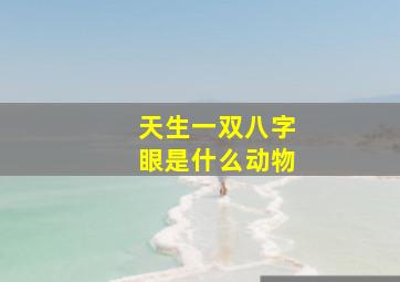 天生一双八字眼是什么动物