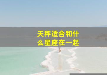 天秤适合和什么星座在一起