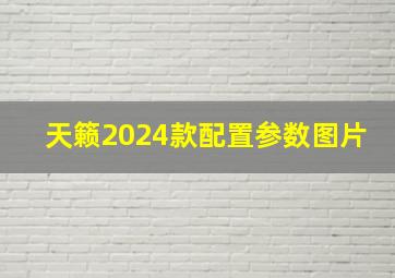 天籁2024款配置参数图片