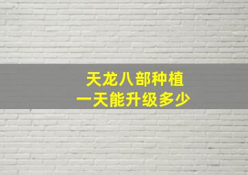 天龙八部种植一天能升级多少