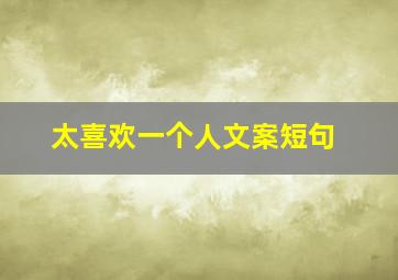 太喜欢一个人文案短句