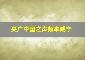 央广中国之声频率咸宁