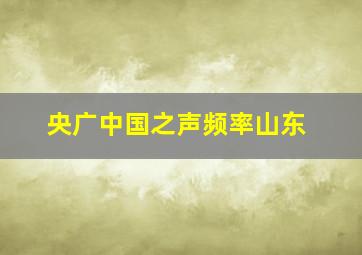 央广中国之声频率山东