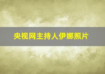 央视网主持人伊娜照片