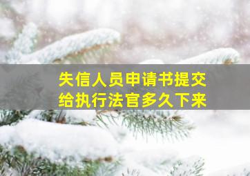 失信人员申请书提交给执行法官多久下来