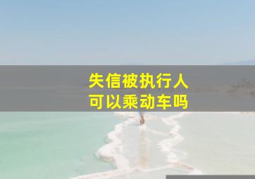 失信被执行人可以乘动车吗