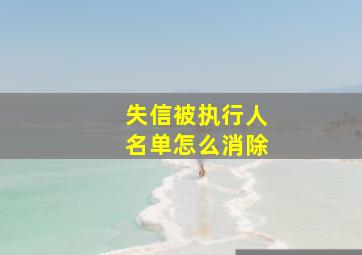 失信被执行人名单怎么消除