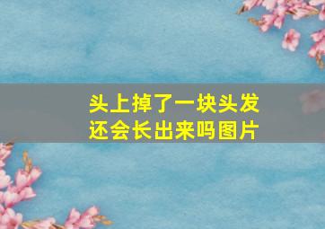 头上掉了一块头发还会长出来吗图片