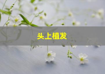 头上植发