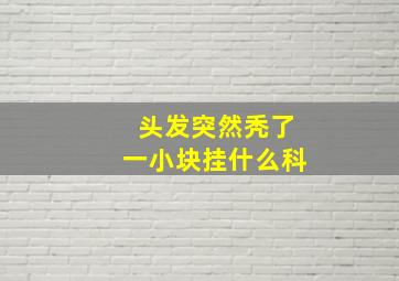 头发突然秃了一小块挂什么科