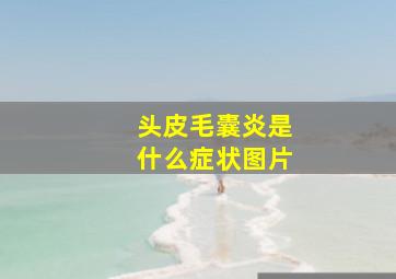 头皮毛囊炎是什么症状图片