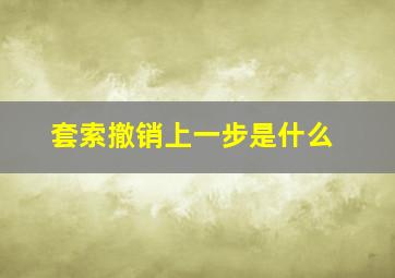 套索撤销上一步是什么