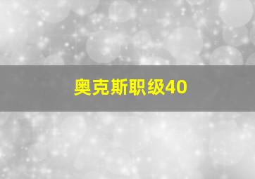 奥克斯职级40