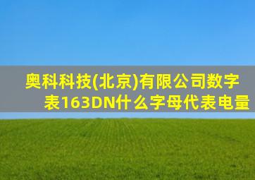 奥科科技(北京)有限公司数字表163DN什么字母代表电量