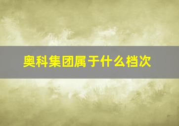 奥科集团属于什么档次