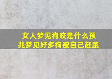 女人梦见狗咬是什么预兆梦见好多狗被自己赶跑